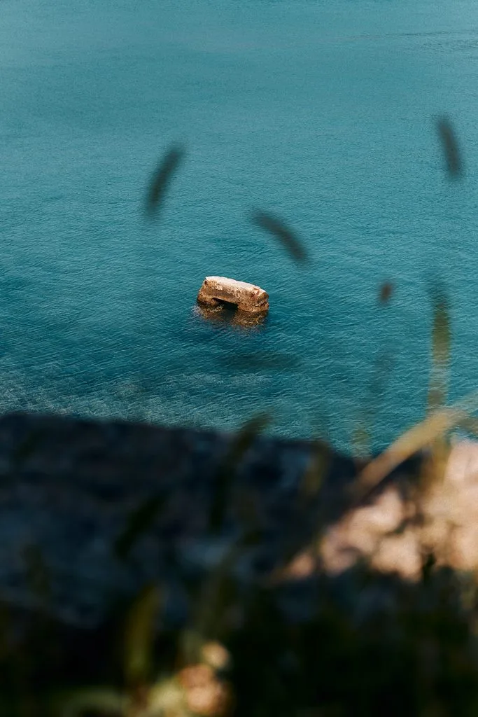 Treibholz im türkisblauen Wasser, im Vordergrund Gräser